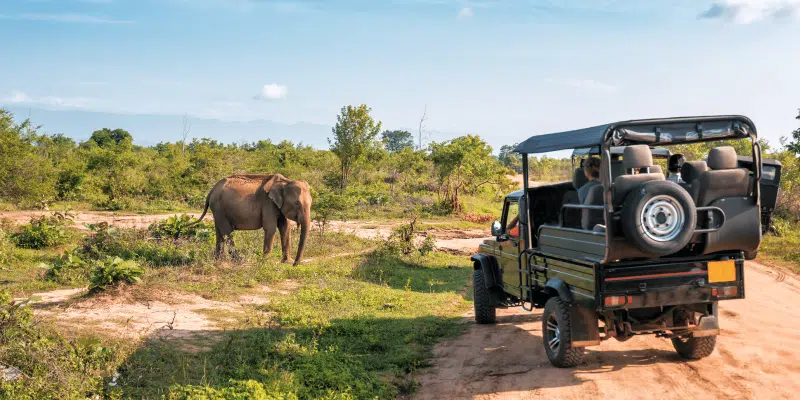 safari yala national park sri lanka famille