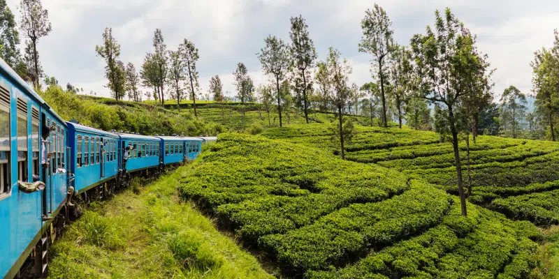 prendre le train au sri lanka