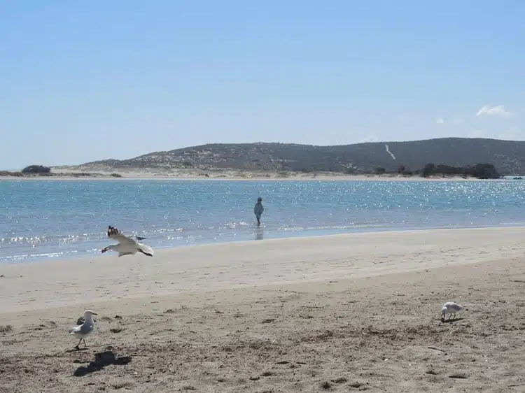 Kalbarri Australie avec enfants