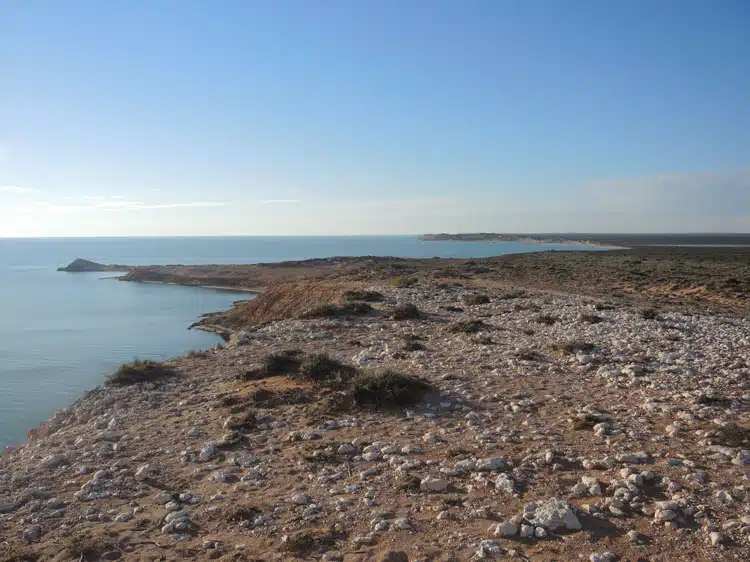 Shark Bay avec enfants