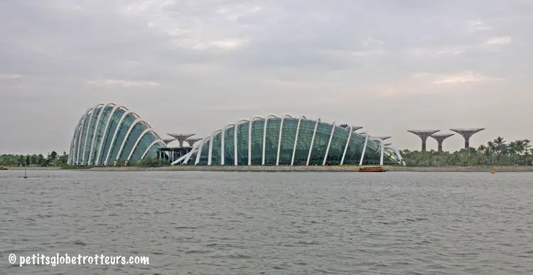 Duck Tour Singapour Enfants