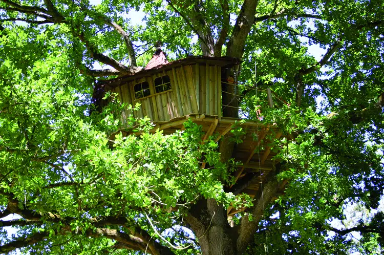 Domaine des Ormes - Cabane dans les arbres