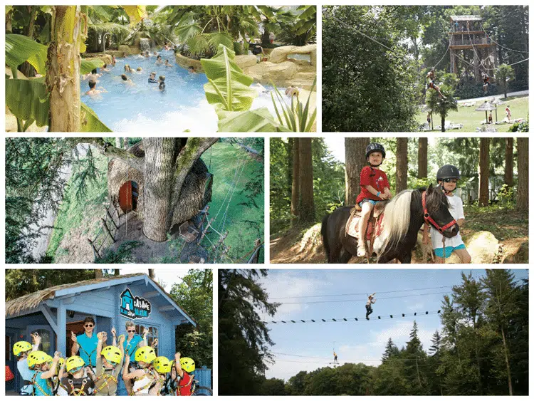 Domaine des Ormes - Activités
