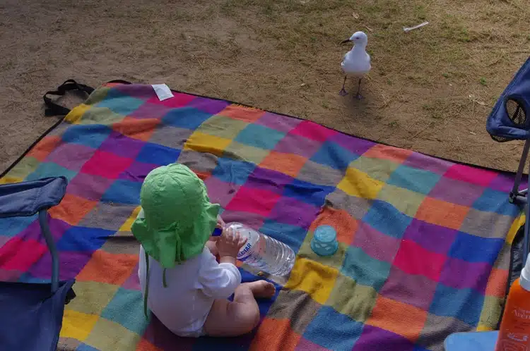 premier voyage avec bébé