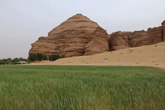 Madain Saleh