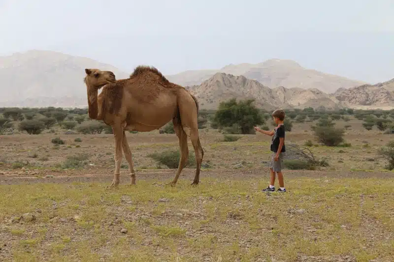 Petits Globetrotteurs Oman