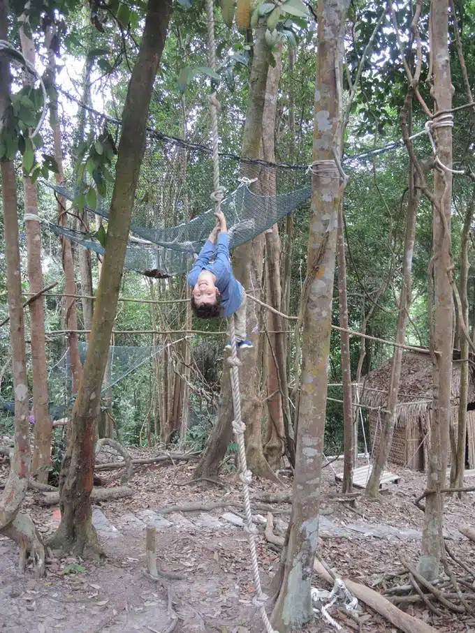 rainforest treehouse malaisie