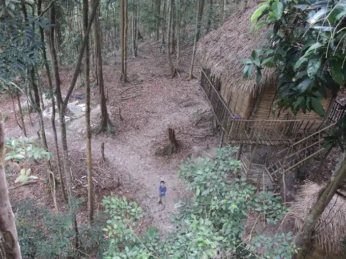 rainforest treehouse malaisie
