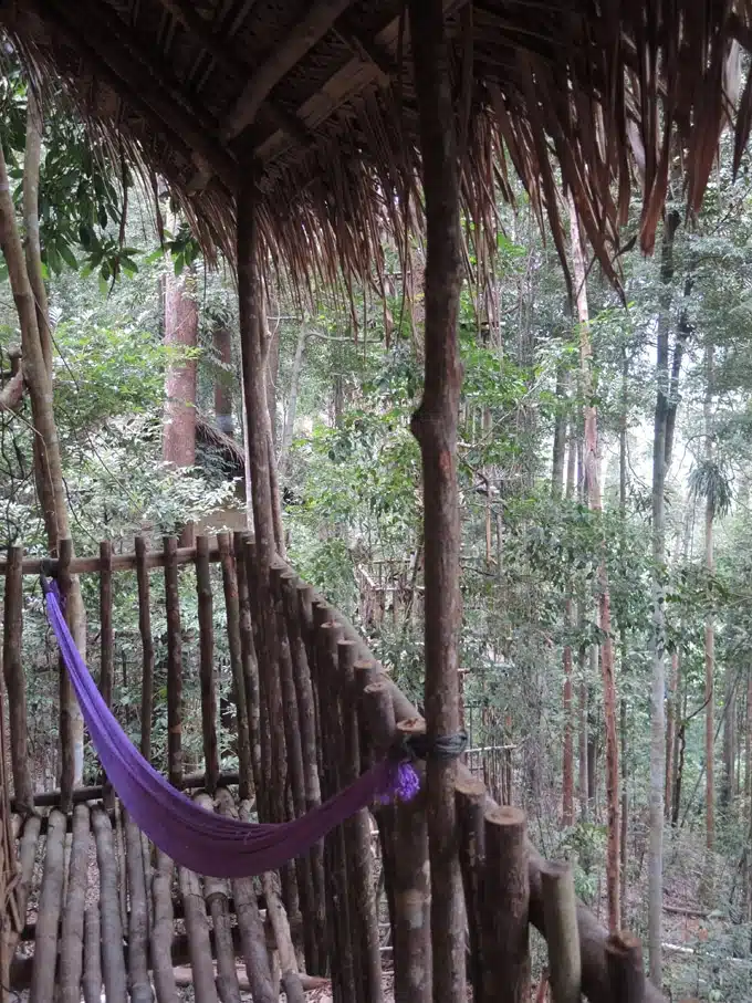 rainforest treehouse malaisie