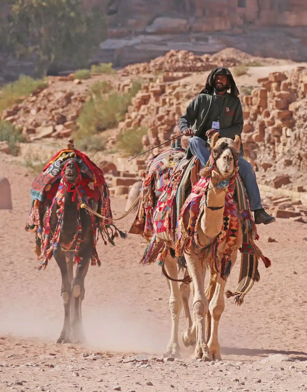 jordanie en famille - petra