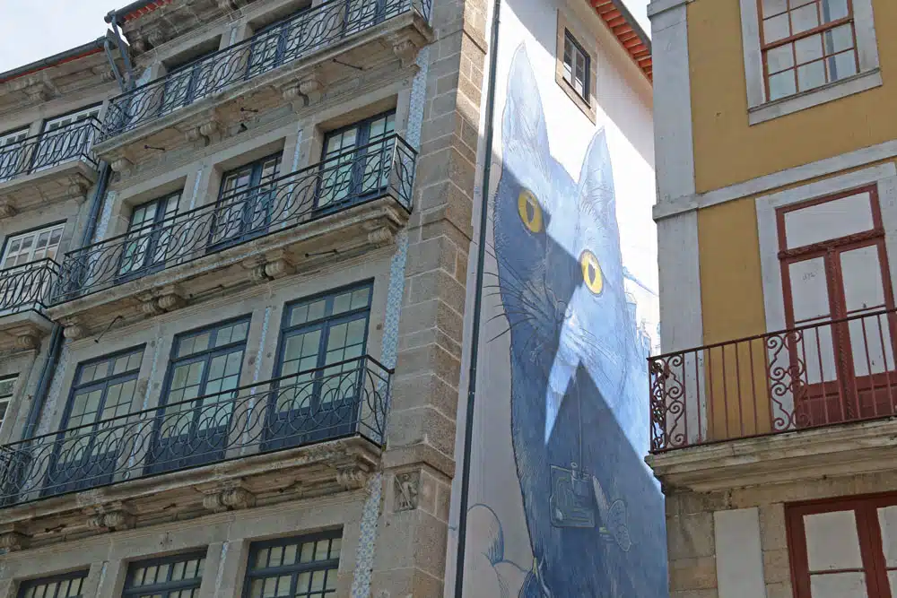 fresque murale chat porto