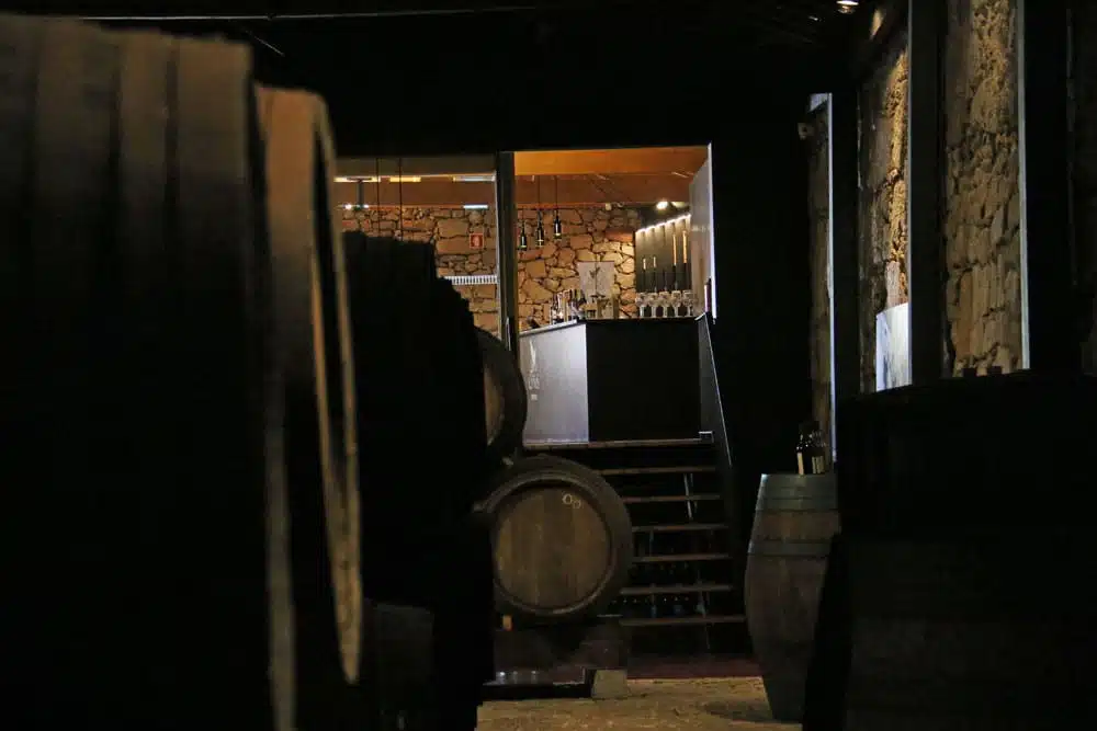 visite d'une cave de porto