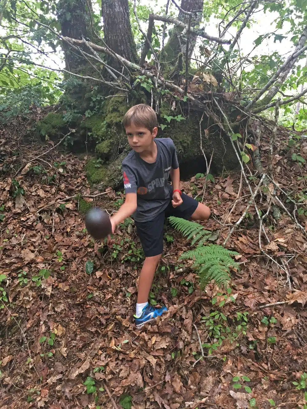 geocaching foret