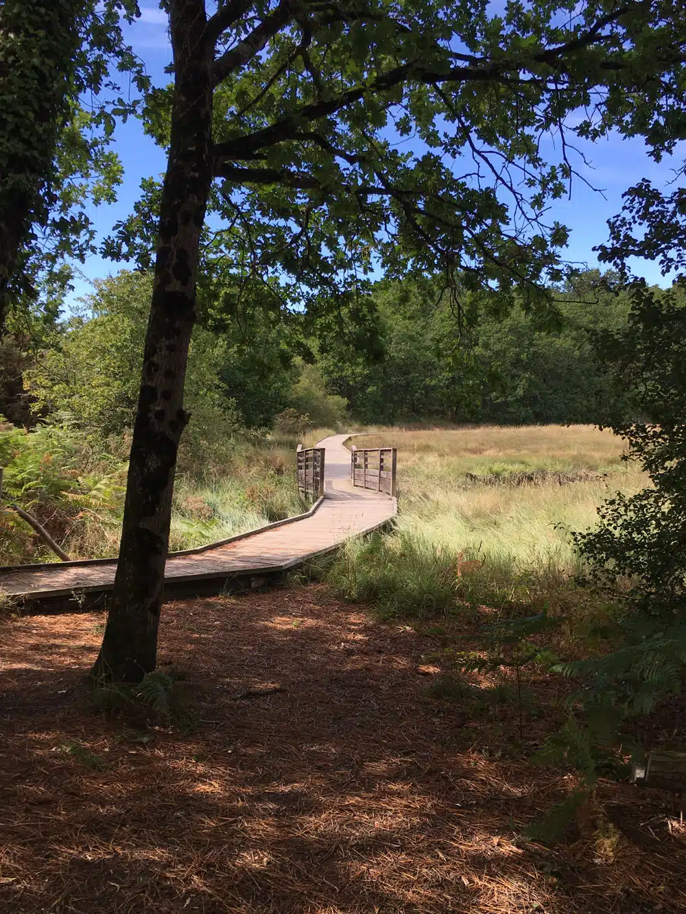 promenade lanester