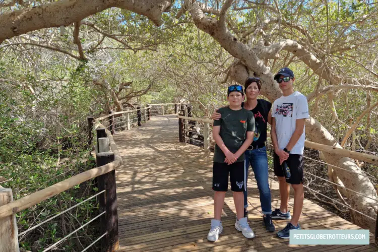 khor kalba mangrove center fujairah