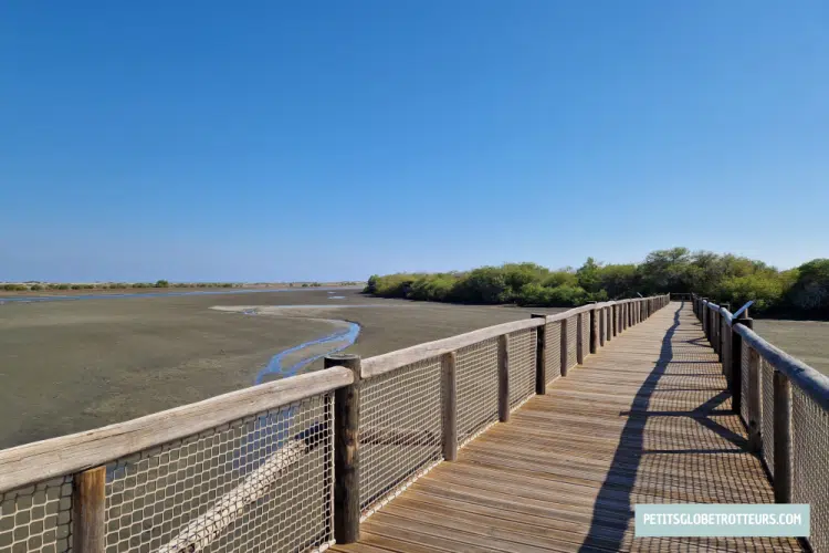 khor kalba mangrove center fujairah