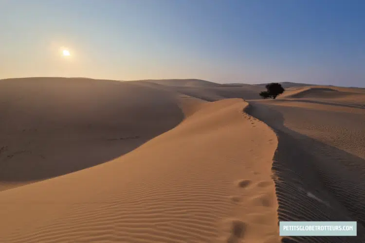 Sur les bords de la piste en allant vers Arabian Desert Night