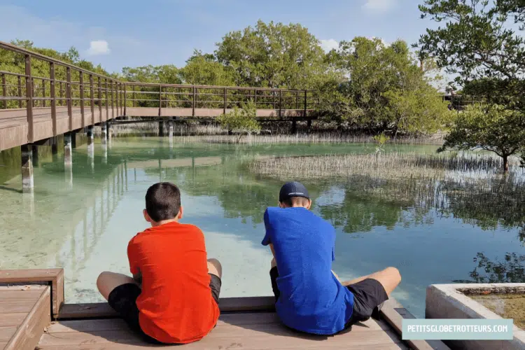 abu dhabi en famille jubail mangrove