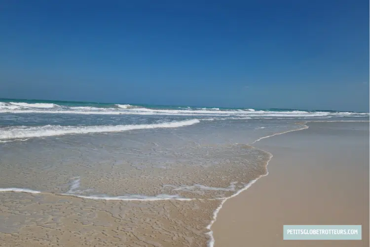 abu dhabi en famille plage du saadiyat beach club