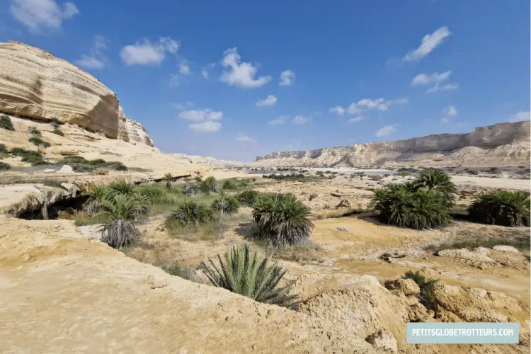 Wadi Ash Shuwaymiyyah