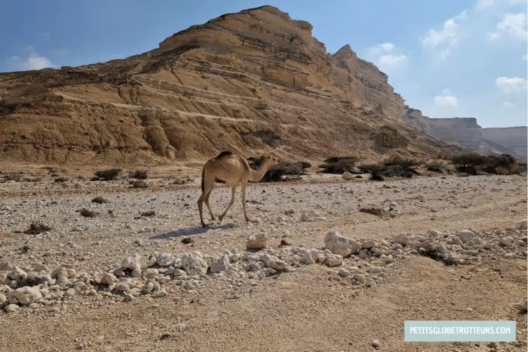 Wadi Ash Shuwaymiyyah