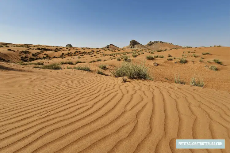 fossil-rock-mleiha-uae petits globetrotteurs